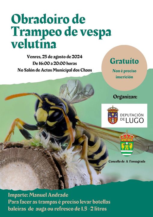 Obradoiro de trampas para velutinas en A Fonsagrada