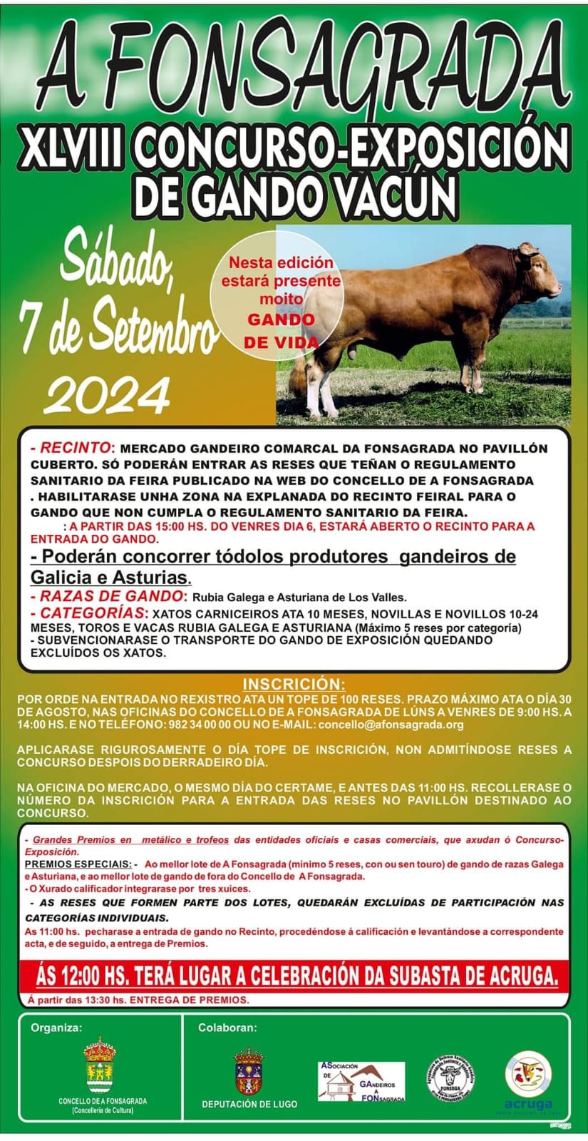 Mercado de ganado vacuno de A Fonsagrada 2024. Vacas