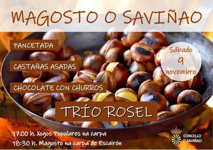 Magosto do Saviñao
