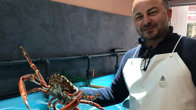 mariscos ribadeo