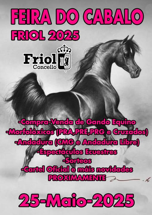 Feira do Cabalo de Friol 2025