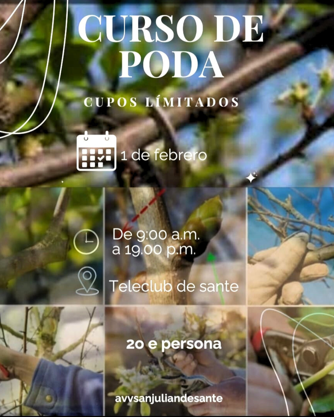 310125 CONCELLO DE TRABDA CURSO DE PODA (1)