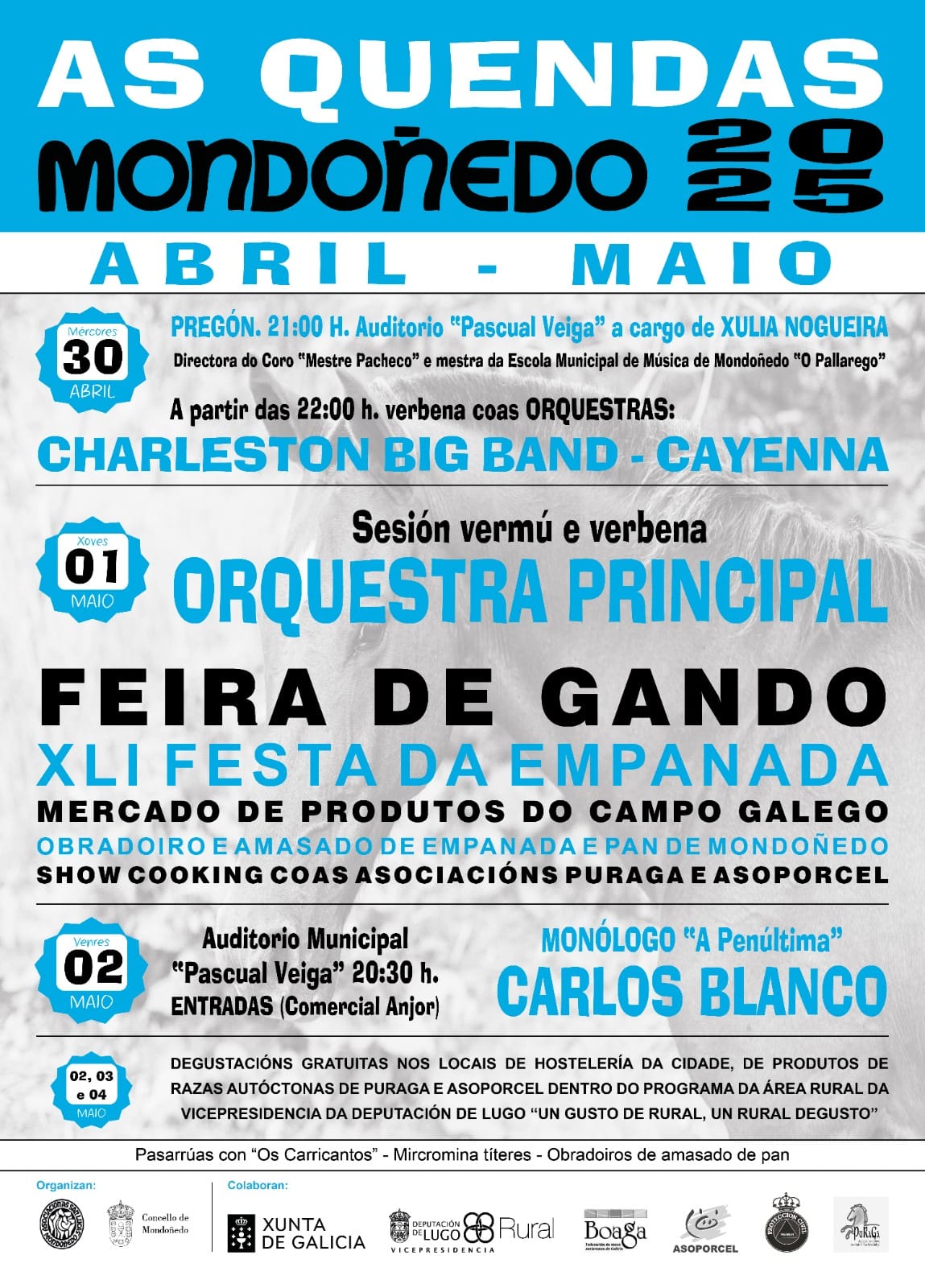 Imagen de WhatsApp 2025-04-13 a las 21.12.51_8062a51e