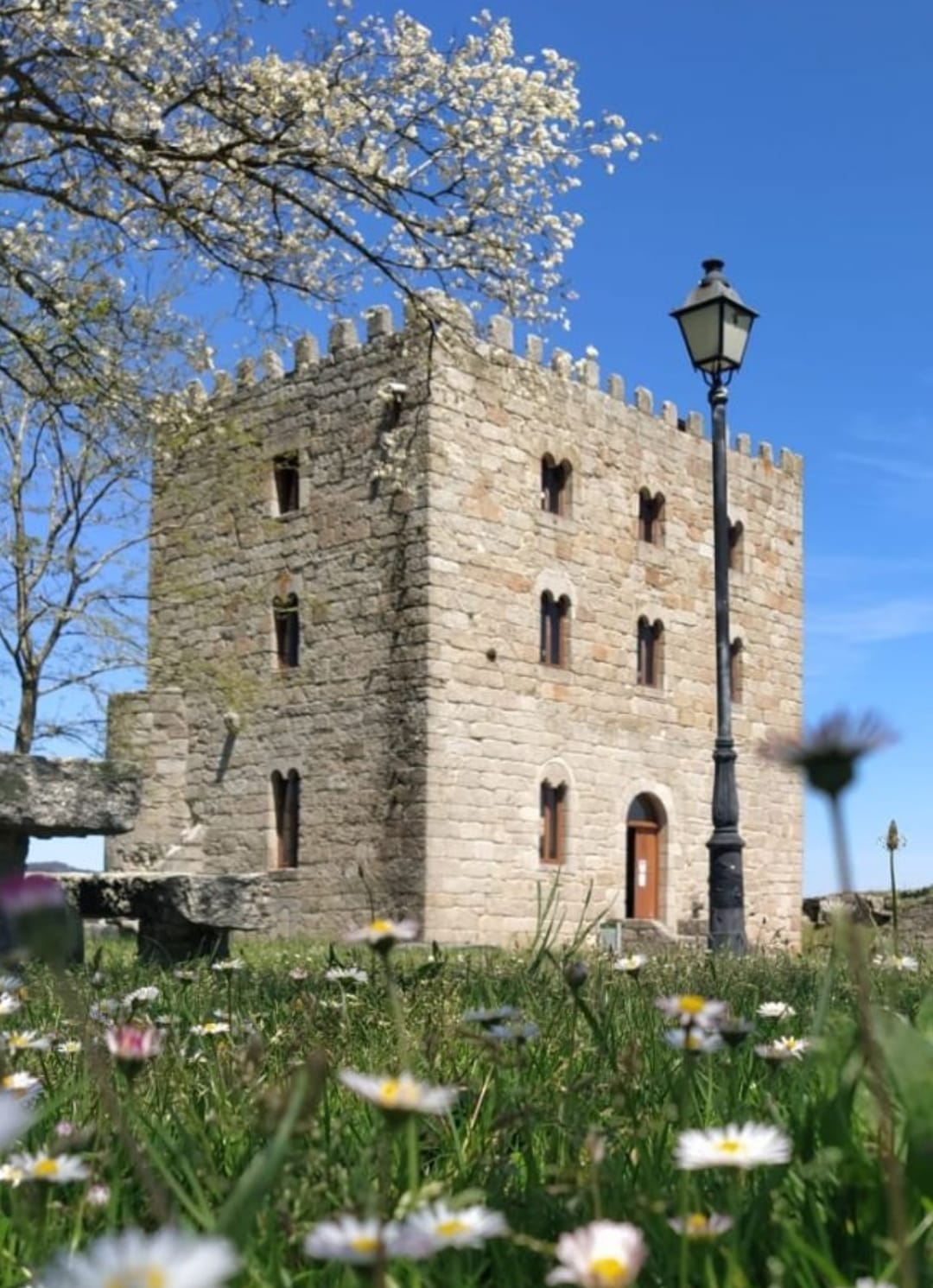 Castelo de Castrodouro