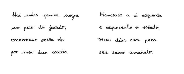 mostra-caligrafia