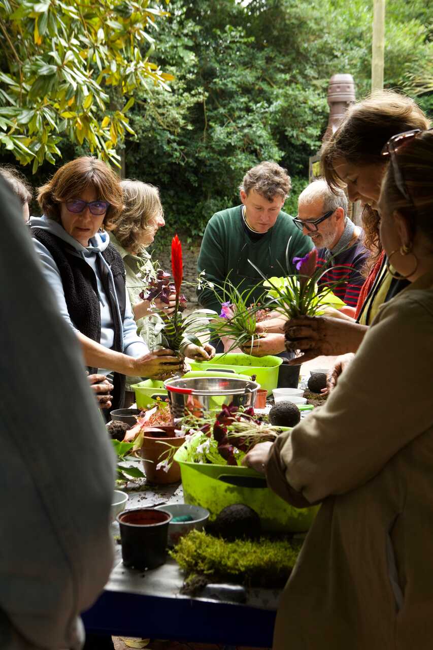 TALLER DE KOKEDAMA 